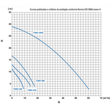 Carregar imagem no visualizador da galeria, Bomba Submersível Thebe Tsbd-250 1/2CV Trifásica 380V