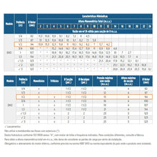 Carregar imagem no visualizador da galeria, Bomba Para Piscina Schneider Eko 1/2 Cv Monofásica 110v/220v com Pré-Filtro