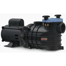 Carregar imagem no visualizador da galeria, Bomba Para Piscina Schneider Eko 1 Cv Monofásica 110v/220v com Pré-Filtro