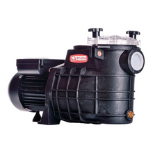 Carregar imagem no visualizador da galeria, Bomba Piscina Tsw-250 1/3 Cv Monofásico Motor Thebe Ip44 127/220v