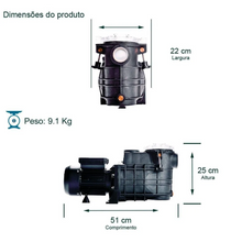 Carregar imagem no visualizador da galeria, Bomba Piscina Tsw-250 1/3 Cv Monofásico Motor Thebe Ip44 127/220v
