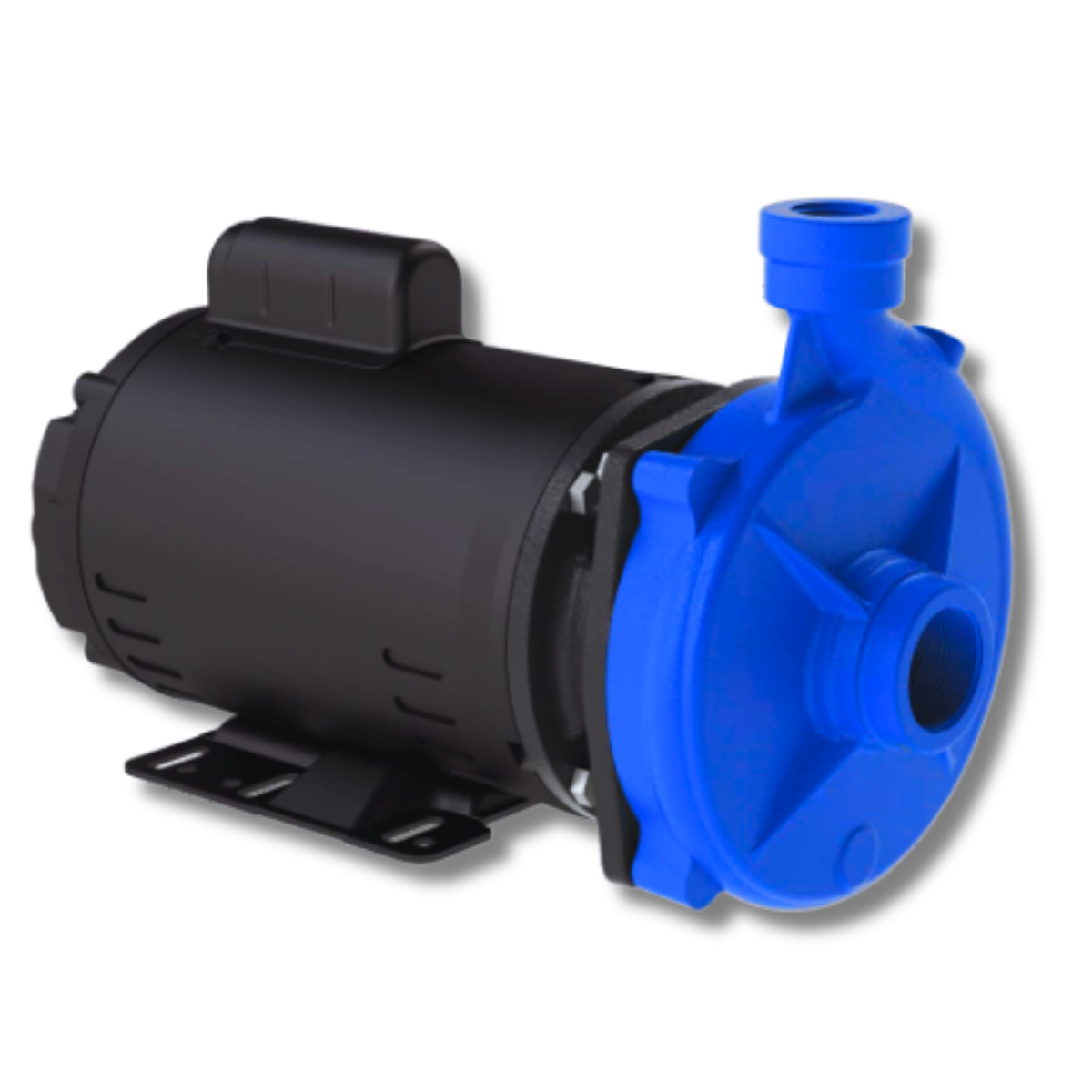 Bomba Centrífuga Monoestágio Bombasa BCG-147 3/4 CV Trifásica 220V/380V