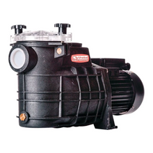 Carregar imagem no visualizador da galeria, Bomba Piscina Tsw-250 1/3 Cv Monofásico Motor Thebe Ip44 127/220v
