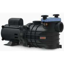 Carregar imagem no visualizador da galeria, Bomba Para Piscina Schneider Eko 3/4 Cv Monofásica 127/220v com Pré-Filtro
